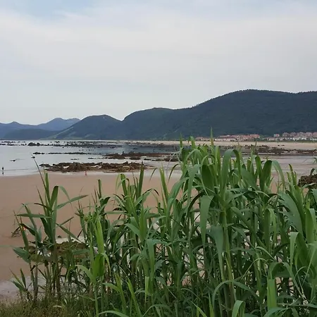 El Serbal Centro Punta La Mesa Noja